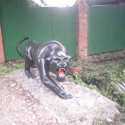 ���� Igor, ������������, 50 ��� - ��������� 28 ����� 2017