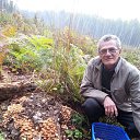 ���� �����, ���������� �����, 70 ��� - ��������� 3 ������ 2017 � ������ ���� ����������