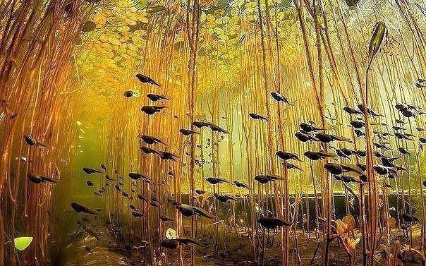 10 ���������� ��� ��������, ��� ���������� �������� � �������� - 4