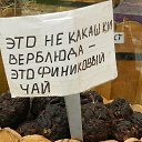 ���� ������, ���������, 68 ��� - ��������� 23 �������� 2016 � ������ ������ ��������