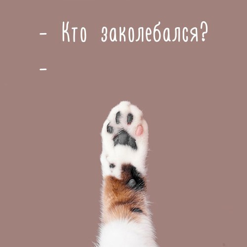    :D - 12  2017  23:03