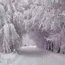 ���� ������ ���� 351, �������, 63 ���� - ��������� 14 ������� 2016 � ������ ������