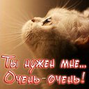 ���� ��������, ������, 73 ���� - ��������� 30 ����� 2017 � ������ ���� ����������