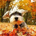 ���� �������, ����� - ��������� 31 ������� 2016 � ������ ���� ����������