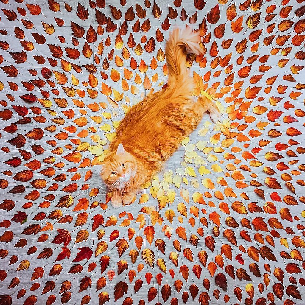 ! - 12  2016  16:29