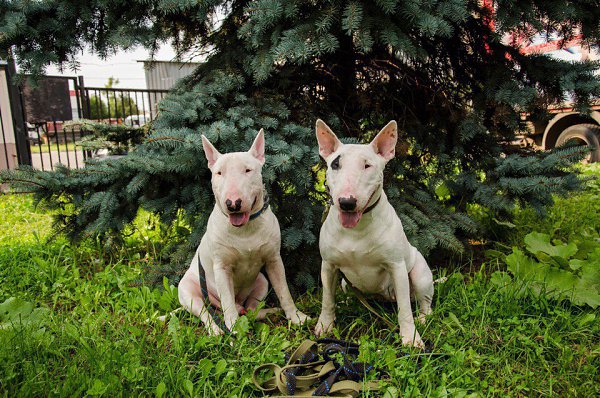 Hrafnsmerki things - https://vk.com/hrafnsmerki.    , ... - 4