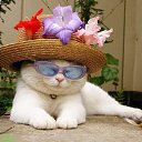 ���� Madina, ���, 79 ��� - ��������� 23 ������� 2017 � ������ ������ ��������