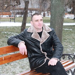 ���������, ���������, 41 ���