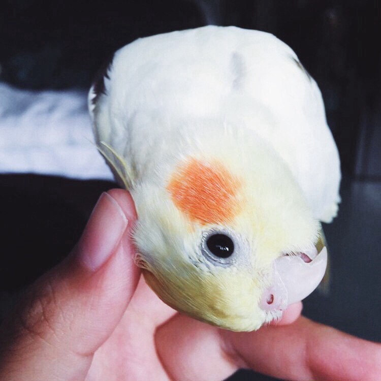   - 7  2016  10:23 - 3