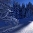 ���� ������, ����������, 49 ��� - ��������� 21 ������ 2016 � ������ ���� ����������