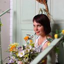 ���� ����, ���������, 41 ��� - ��������� 21 ������ 2017 � ������ ���� ����������