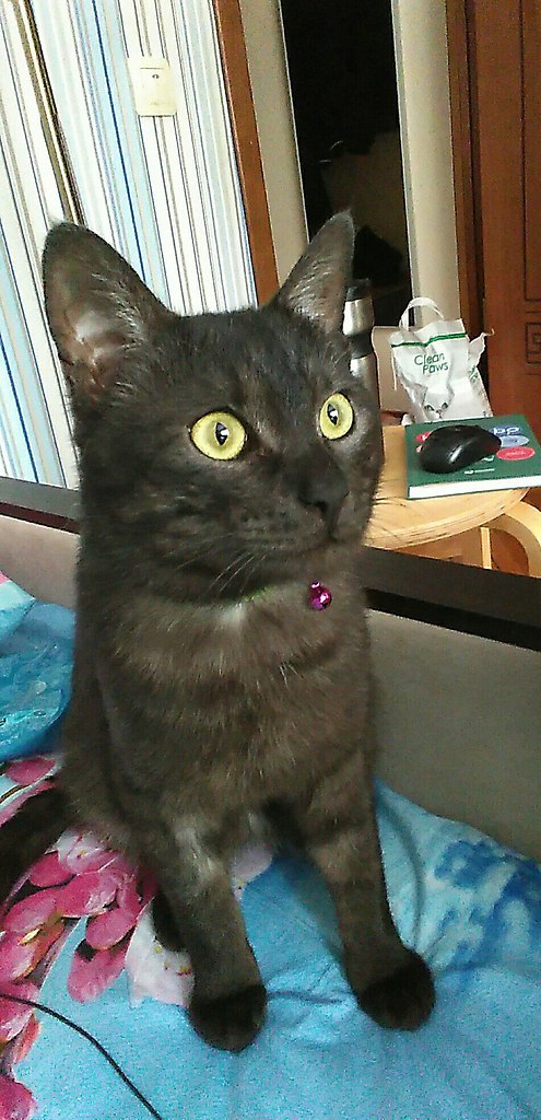 #_.  2015     ,      ... - 6