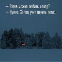 ���� ���������, �����-���������, 41 ��� - ��������� 23 ������� 2016 � ������ �������