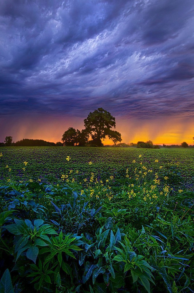    . Phil Koch - 7