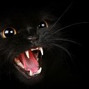 ���� Ser, ���������, 48 ��� - ��������� 2 ������ 2017 � ������ ���� ����������