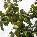 ���� �������, ������� - ��������� 21 �������� 2016 � ������ ��� ���������.�