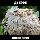 ���� ������, �������������-���������� - ��������� 4 ����� 2017 � ������ ������ ��������