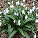 ���� Marina, ������ ����� - ��������� 11 ������� 2017 � ������ �������