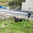 ���� �����, �������, 69 ��� - ��������� 12 ������� 2016 � ������ ���� ����������