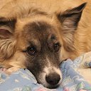 ���� ���������, ������, 75 ��� - ��������� 25 ����� 2017 � ������ ��� �� ��������!�