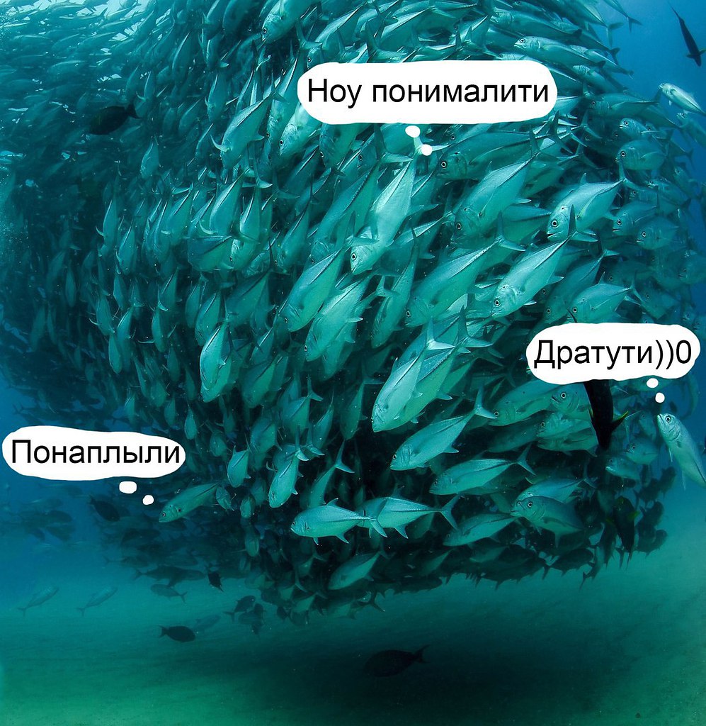 ������� �������, ��� � ������������� ������ ������� ��������� ��� ������� ��-�� ������������ ...