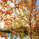 ���� �����, ����� - ��������� 23 ������� 2016 � ������ ���������