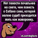 ���� ������, ����, 85 ��� - ��������� 15 ������� 2016 � ������ ���� ����������