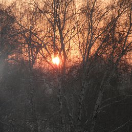 ���� �������, ����������� - ��������� 3 ������ 2017