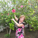 ������ ������ �� ������� ������, ������� 2016�