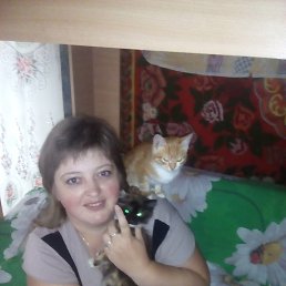 ������, �����, 46 ���