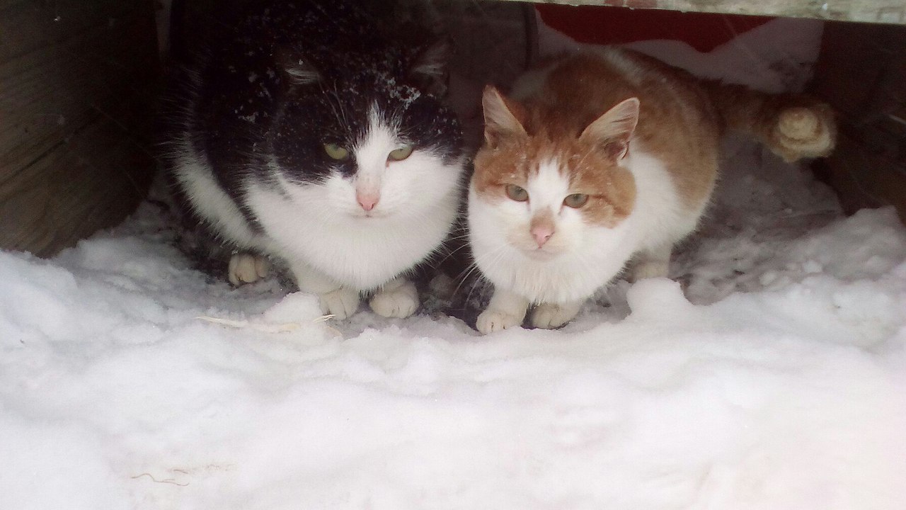 #_.   ,   ,     .  ,  ...