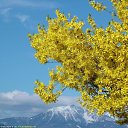 ���� ���������, ������, 69 ��� - ��������� 21 �������� 2016 � ������ �������