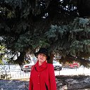 ���� ����, ������� - ��������� 4 ������ 2017 � ������ ���� ����������