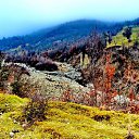  ,  -  15  2017              70     ӻ