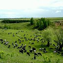 ���� Fedor., ������-���, 56 ��� - ��������� 3 ����� 2017 � ������ ������ ��������