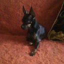  Swet*lana,  -  27  2017    