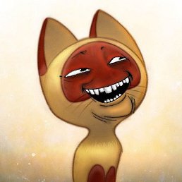 ���� �����, ����������� - ��������� 5 ������� 2016