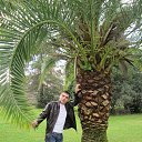 ���� ������, ������������, 42 ���� - ��������� 19 ������ 2017 � ������ ���� ����������