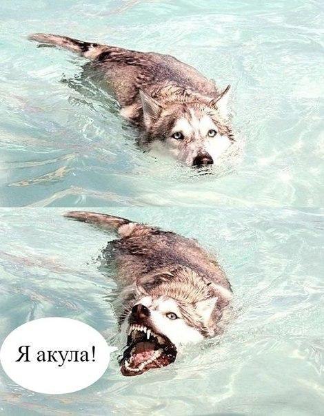 ��� �������� �������� - 11 �������� 2016 � 18:18