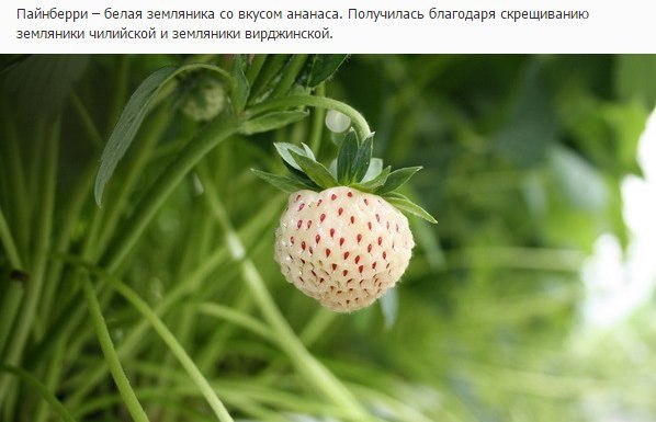     + = ?   ?  ,   ? #@bon - 7