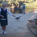 ���� ��, ������ - ��������� 30 ������ 2017