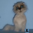 ���� ������, ��������, 48 ��� - ��������� 11 ����� 2017 � ������ ������ ��������