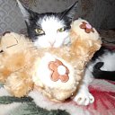 ���� ������, �����, 41 ��� - ��������� 18 �������� 2016 � ������ ���� ����������