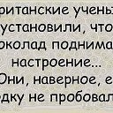 ���� Il Conte, ��������� - ��������� 29 ������� 2016 � ������ ������ ��������