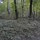  ,  -  6  2016       1  2016 