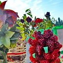  ,  -  14  2016       ̻