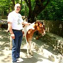 ���� Zurab, �������, 59 ��� - ��������� 26 �������� 2016 � ������ ���� ����������