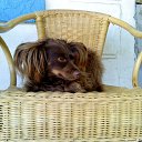 ���� ����, ���������, 64 ���� - ��������� 3 ������ 2017 � ������ ���� ����������