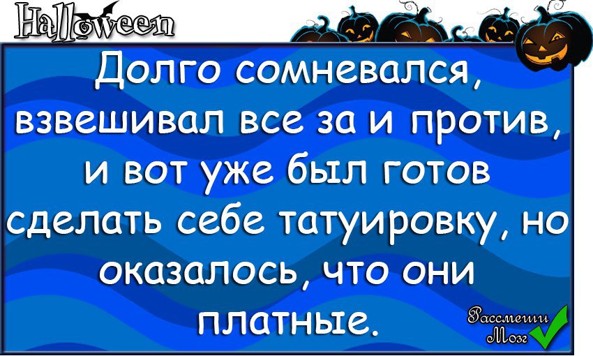 Выборы демотиваторы. Ссср мем. I came a burrito cat. Привет встретимся. Была не против и вот.
