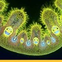 ���� Nastasya, ����, 34 ���� - ��������� 10 ������ 2017 � ������ ���� ����������